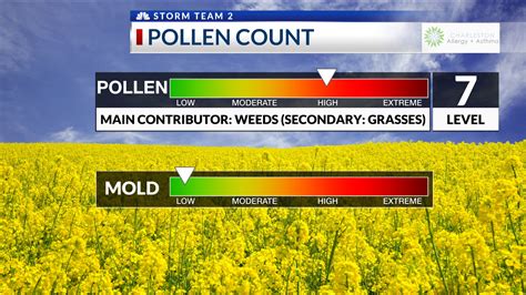 The 15 Day forecast covers more than. . How high is pollen today